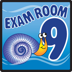 Fabrication Enterprises Clinton, Sign, Ocean Series, Exam Room 9 Sign