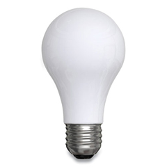 GEL99192 - GE Classic LED Daylight Non-Dim A19 Light Bulb