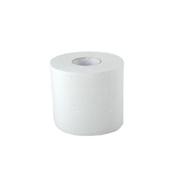 MEDNON27800H - Medline - Standard Toilet Paper, 2 Ply, 4 x 4, 1/RL