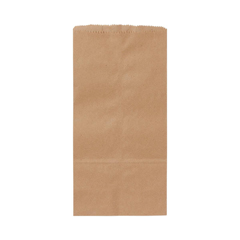 MEDNONBPB10 - Medline - Brown Paper Bag, #10, 6.5 x 4 x 13, 500 EA/PK