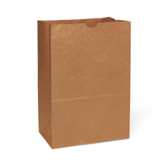 MEDNONBPB16BBL - Medline - Brown Paper Bag, #1/6BBL, 12 x 7 x 17, 500 EA/PK