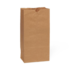 MEDNONBPB8 - Medline - Brown Paper Bag, #8, 6 x 4 x 12.5, 500 EA/PK