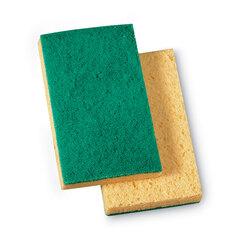 3M Niagara Medium Duty Scrubbing Sponge 74N, 3.6 x 6, 1