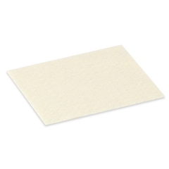 Hollister Calcium Alginate Dressing CalciCare 2 x 2