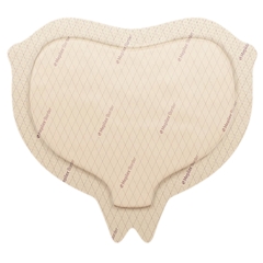 Molnlycke Healthcare Silicone Foam Dressing Mepilex&reg;Border 6.2 x 7.9