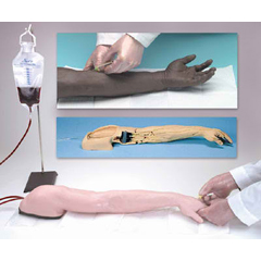 MON679279EA - Nasco - Advanced Venipuncture and Injection Arm Life/Form® , 1/EA