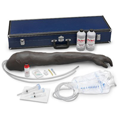 MON679278EA - Nasco - Advanced Venipuncture and Injection Arm Life/Form® , 1/EA