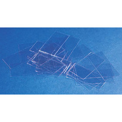 MON198421OZ - Erie Scientific - Cover Glass Erie Scientific Rectangle No. 2 Thickness 24 X 60 mm, 1/OZ