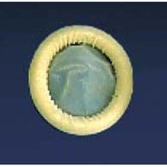 Parker Labs Ultrasound Probe Cover Ultra Cover™ 2 X 7-1/10 Inch Latex NonSterile Rolled, 1200/CS