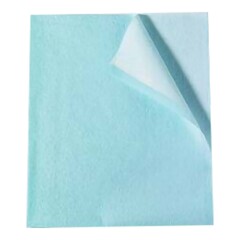 Tidi Products Stretcher Sheet Tidi&reg; Everyday Flat 30 W X 48 L Inch Blue Tissue / Poly / Polyethylene Film Disposable, 100/CS