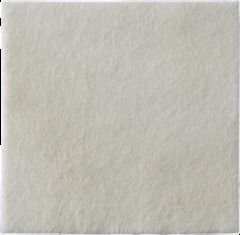 Coloplast Calcium Alginate Dressing Biatain 6