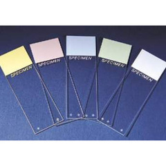 Erie Scientific Charged Microscope Slide Superfrost Plus 25 X 75 mm Frosted End, 144/GR