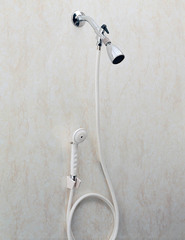 Apex-Carex Handheld Shower Spray with Diverter Valve Carex 80 Inch Hose