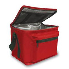 Hopkins Medical Products Insulated Biohazard Specimen Transport Tote Premium 5-1/2 X 7 X 9 Inch