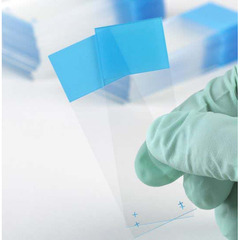 Globe Scientific Charged Microscope Slide Diamond&reg; White Glass 25 X 75 X 1 mm Blue Frosted End, 1440/CS