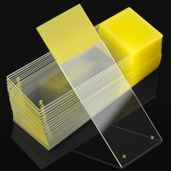 Globe Scientific Microscope Slide Diamond&reg; White Glass Charged 25 X 75 X 1 mm Yellow Frosted End, 1440/CS
