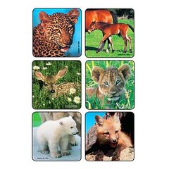 Medibadge Kids Love Stickers&reg; 90 per Pack Baby Animal Photos , Assorted Sticker 2-1/2 Inch, 90/PK