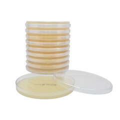 Hardy Diagnostics Prepared Media Mueller Hinton Agar Dehydrated, 10/BX