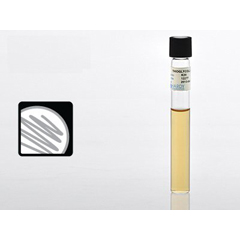 Hardy Diagnostics Prepared Media Thioglycollate Medium Beige Tube Format