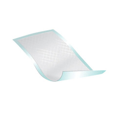 Griffin Care Underpad Passport™ 22 X 35 Inch Disposable Fluff Light Absorbency