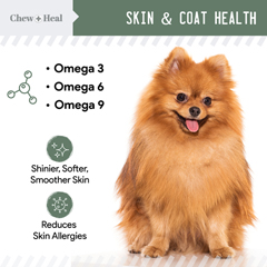 JEGCHW-PCN400003 - Chew + Heal - All In 1 Dog Vitamin