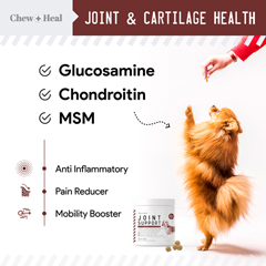 JEGCHW-PCN400004 - Chew + Heal - Hip and Joint Supplements for Dogs