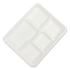 Eco-Friendly Trays – AmerCareRoyal