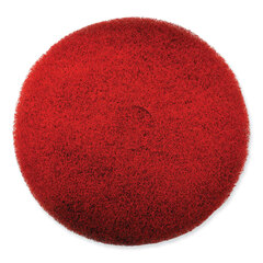 SC Johnson Professional EZ CARE Heavy Duty Scrub Pad, 13