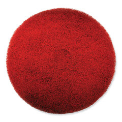 SC Johnson Professional EZ CARE Heavy Duty Scrub Pad, 17