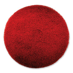 SC Johnson Professional EZ CARE Heavy Duty Scrub Pad, 16