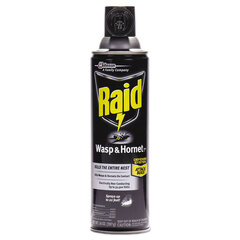 SC Johnson Professional Raid&reg; Wasp & Hornet Killer, 14oz Aerosol