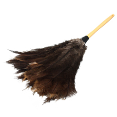 SPS4603 - Impact - Economy Ostrich Feather Duster