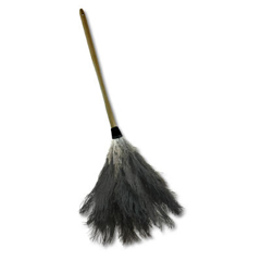 UNS28GY - Professional Ostrich Feather Duster