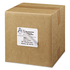 AVE5164 - Avery® Shipping Labels with TrueBlock® Technology