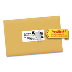 AVE8163 - Avery® Shipping Labels with TrueBlock® Technology