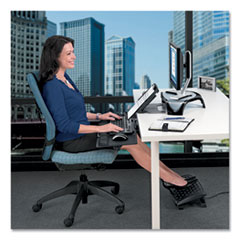 FEL8037601 - Fellowes® Professional Series Back Support with Microban® Protection