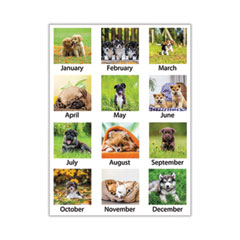 AAGDMD16632 - AT-A-GLANCE® Puppies Monthly Desk Pad Calendar