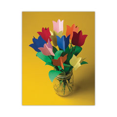 PAC103031 - Pacon® Tru-Ray® Construction Paper