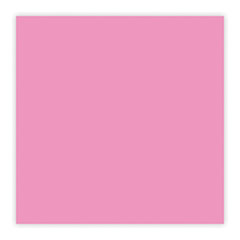 PAP70521 - Paper Mate® Pink Pearl® Eraser