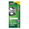 Avery Avery® File Folder Labels on Mini-Sheets® AVE 2181