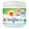 Bright Air BRIGHT Air® Super Odor™ Eliminator BRI 900133CT