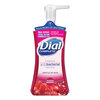 Dial Professional Dial Complete® Antibacterial Foaming Hand Wash DIA03016