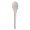 Eco-Products Eco-Products® Plantware® Compostable Cutlery ECO EPS013
