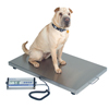 Fabrication Enterprises Detecto, Veterinary Scale, Digital, 330 lb, x .2 lb / 150 kg x .1kg, Wheels FNT12-2452