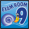 Fabrication Enterprises Clinton, Sign, Ocean Series, Exam Room 9 Sign FNT15-4659