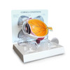 GPI Manufacturing Cornea Eye GPI2780