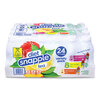 Snapple diet Snapple® Ice Tea Variety Pack GRR22002043