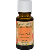 Nature's Alchemy 100% Pure Essential Oil Clove Bud - 0.5 fl oz HGR0221556