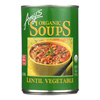 Amy's Organic Lentil Vegetable Soup - Case of 12 - 14.5 oz. HGR 0246272