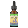 Herbs For Kids Minty Ginger - 1 fl oz HGR 0627067
